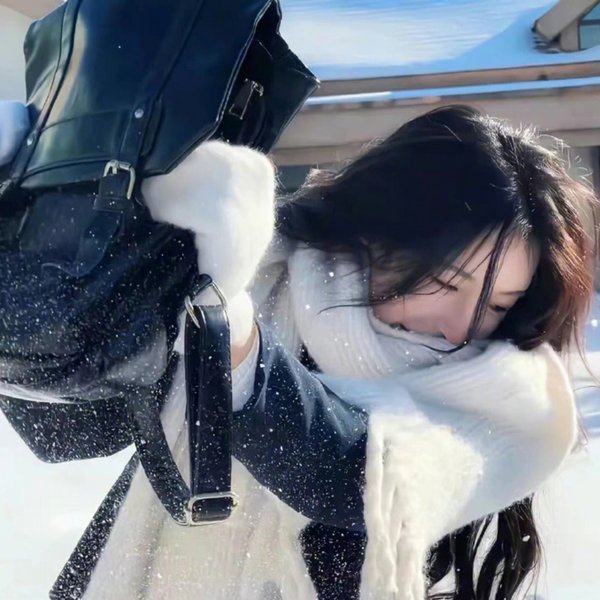 探索发现秘境追踪第五季
